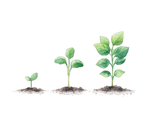 طرح پرداخت اقساطی دندانپزشکی مهر