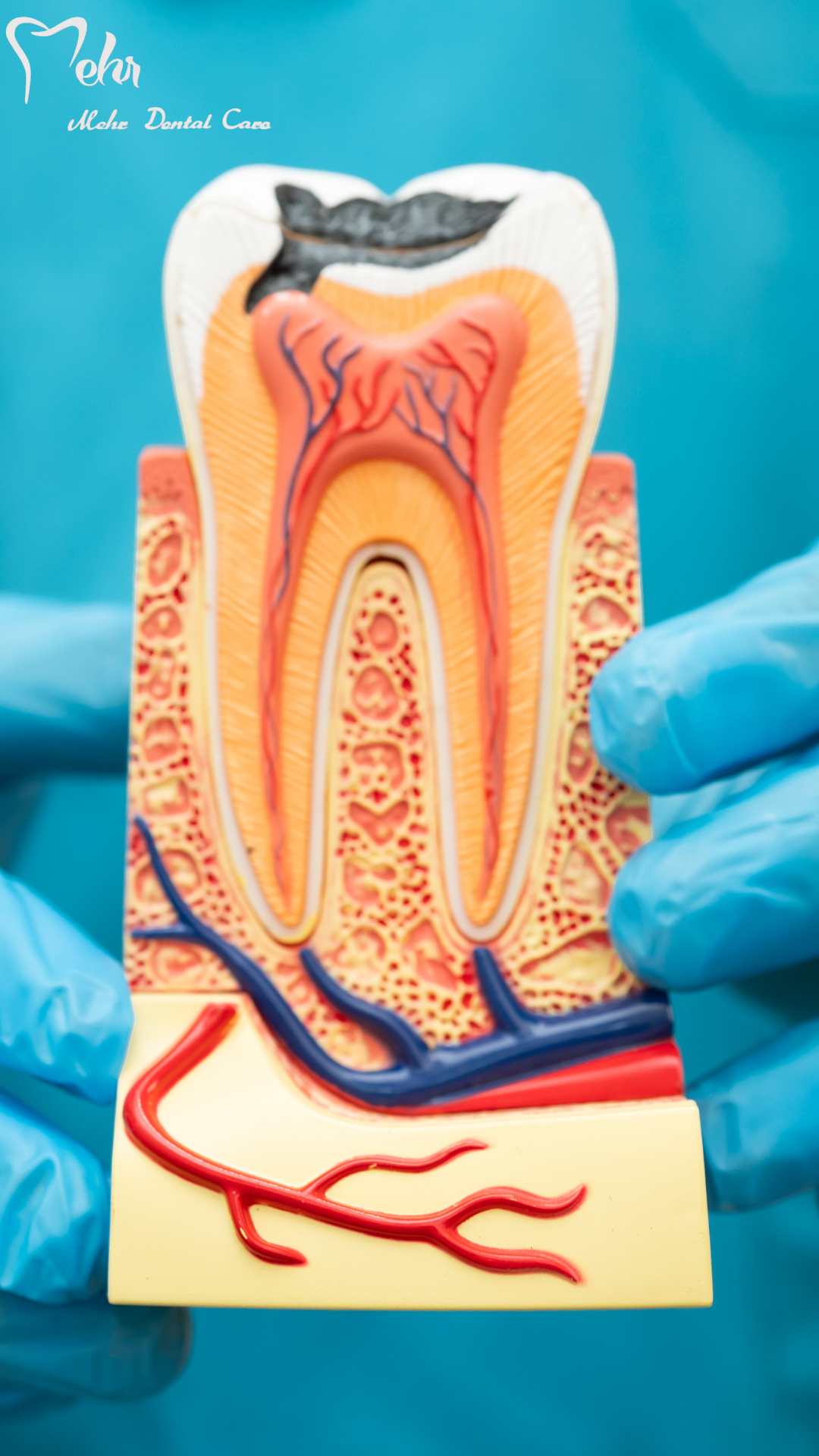 کاور ویدیو مرکز مهر